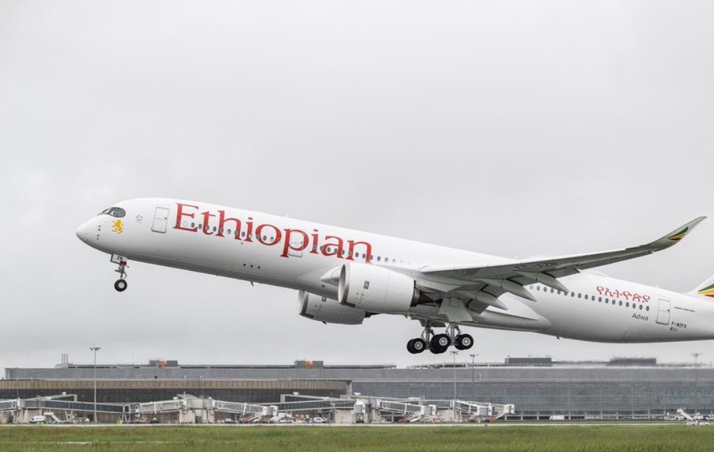 Families Of Ethiopian Airlines Crash Victims  Demand $58B Compensation